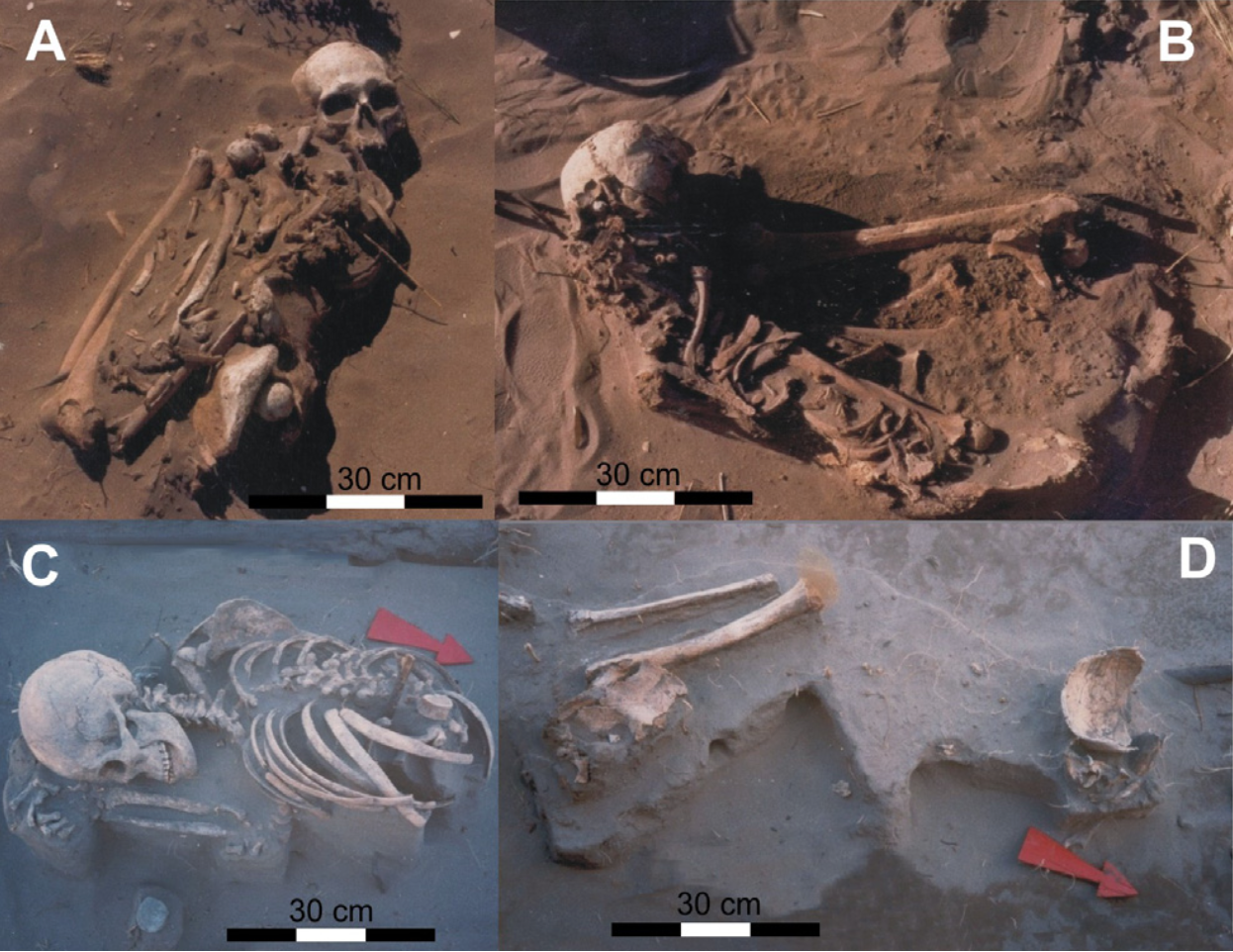 primary and secondary burials from petrona paso